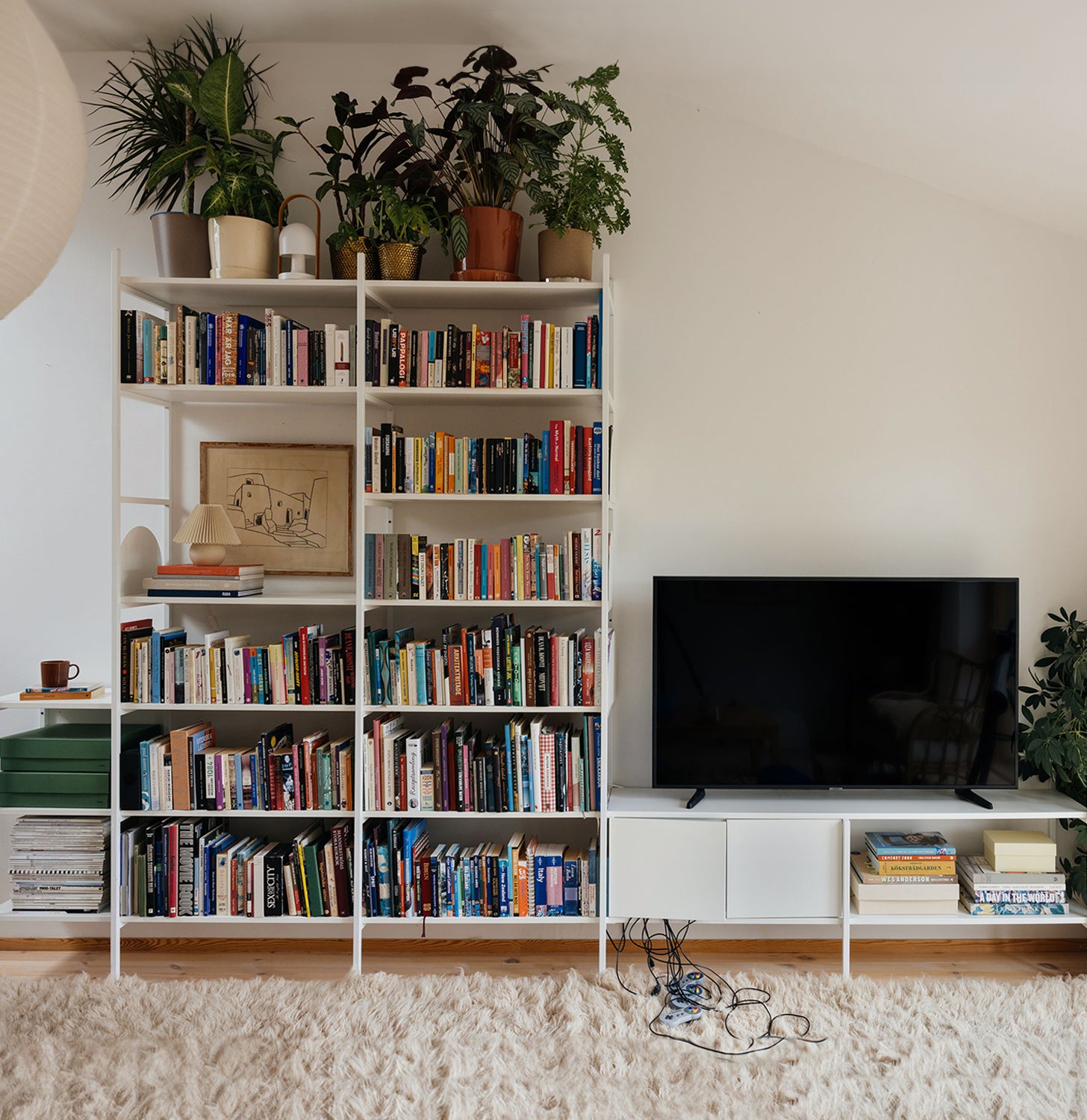 vit tv hylla med växter, böcker och skåp 