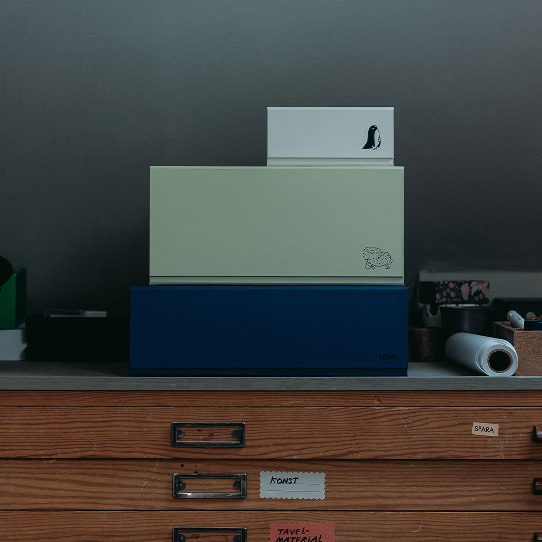 Lot de 2 boîtes de rangement Pon